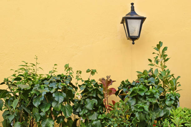 closeup on a beautiful arbor covered with climbing plants with colorful flowers, relax place, architecture