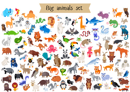 Vector flat style big set of animals isolated on white background. Collection of vector cartoon creatures from doffernt continents. Tropical and exotic wild animal character