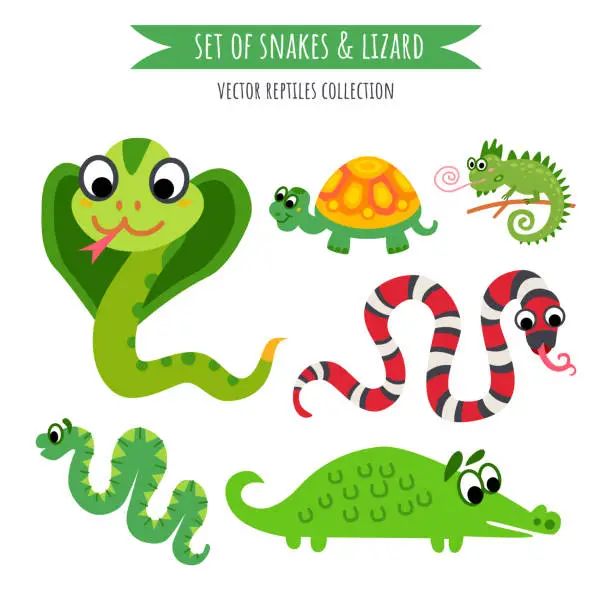 Vector illustration of Vector set of snake and lizard isolated on white.