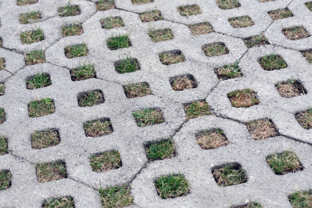 istock Paving slabs with holes for grass background. 1204507303