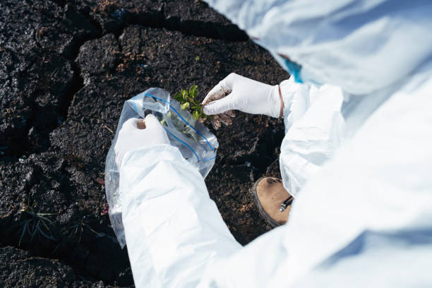 istock Scientist in protective gear examining plant 1204507649