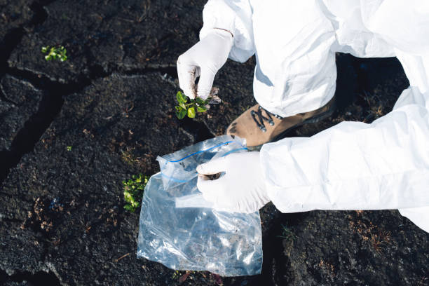 istock Scientist in protective gear examining plant 1204507654