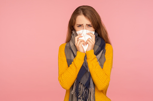 Flu season. Portrait of sick red hair girl wearing big scarf, sneezing and blowing nose, wiping with tissue, suffering temperature and cough, influenza. indoor studio shot isolated on pink background