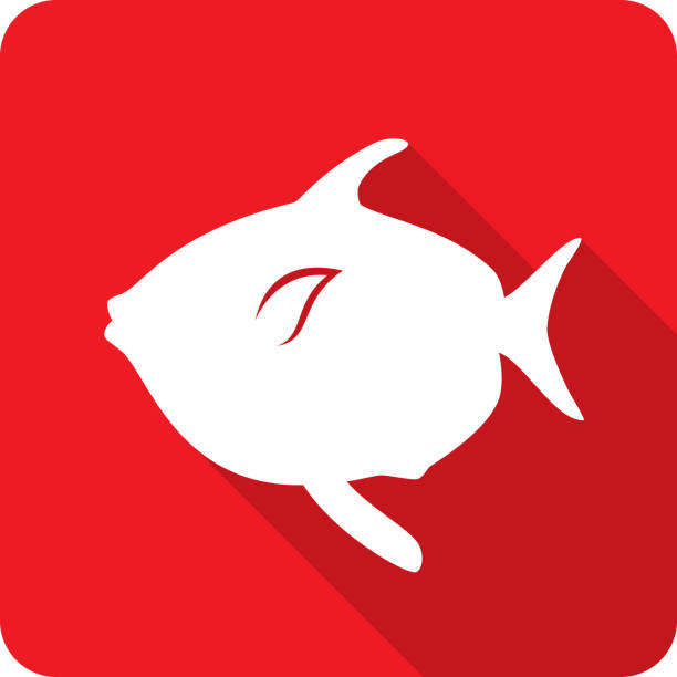 Big Fish Icon Silhouette 1 Vector illustration of a red moonfish icon in flat style. opah stock illustrations