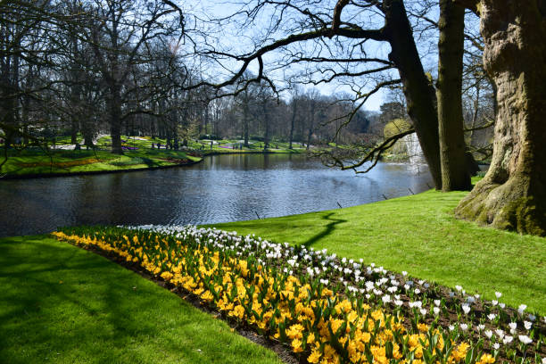 istock Beautiful landscape in Amsterdam. Parks and Gardens 1204514804