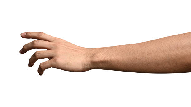 istock Hand open and ready to help or receive. Gesture isolated on white background with clipping path. 1204515958