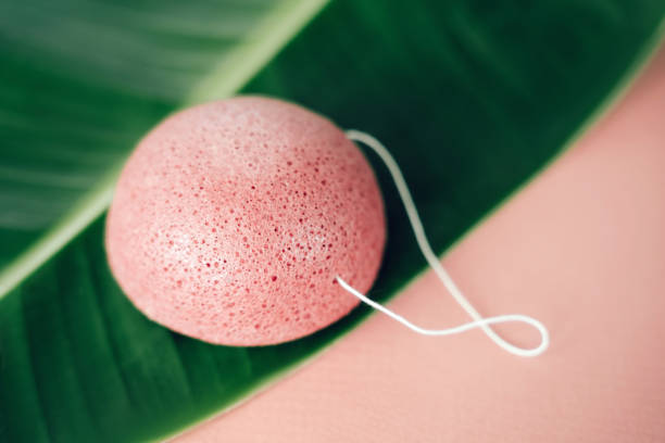 Natural, organic and biodegradable Konjac sponge. Natural, organic and biodegradable Konjac sponge. Overhead shot on a pink background with leaf with copyspace. bath sponge photos stock pictures, royalty-free photos & images