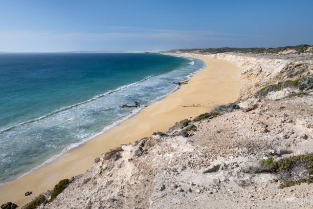 istock The Wild South Coast 1204523336