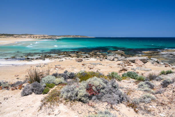 istock The Wild South Coast 1204523394