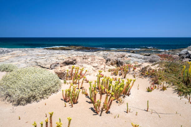 Greenly Beach Rock Pool, Eyre Peninsula, South Australia