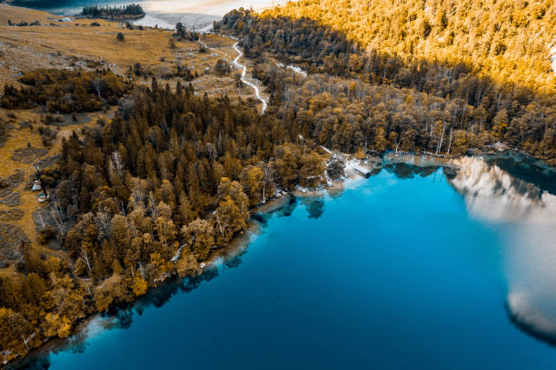 Drone view of Königssee, Bavaria Bavaria, Berchtesgaden, Berchtesgaden National Park, Berchtesgadener Land, Europe bavarian forest stock pictures, royalty-free photos & images