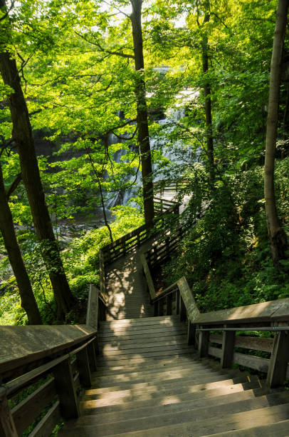istock Cuyahoga Valley National Park  - Brandywine Falls Overlook Vertical 1204531284