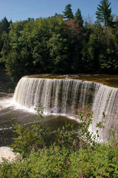 istock Tahquamenon Falls State Park - Waterfall Vertical 1204531512