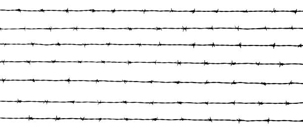 白い背景に有刺鉄線の線 - barbed wire fence wire danger ストックフォトと画像