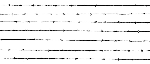 7 Lines of Barbed Wire on White Background