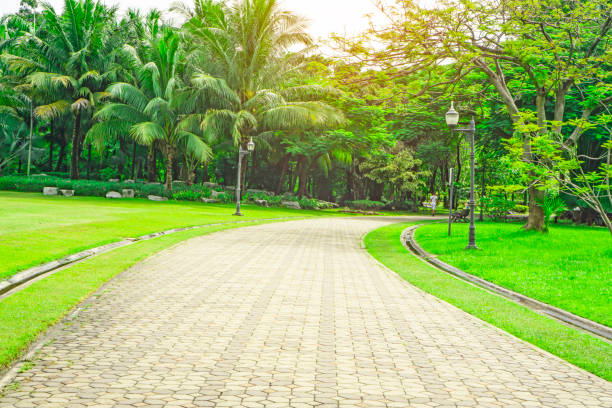 istock Gray concrete block pavement walkway beside beautiful fresh green carpet grass yard, smooth lawn and evergreen leaf coconut palm trees garden in a good care landscaping of the public park 1204533409
