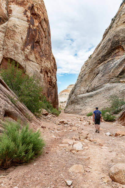 istock Solo Hiker at Utah Capitol Reef National Park 1204535388