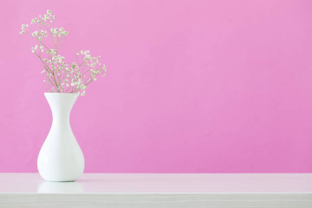 istock gypsophila flowers in vase on pink background 1204538657
