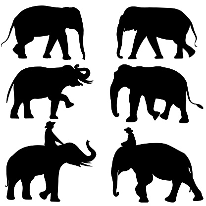 black image outline elephant Asia walking, graphics design vector Illustration isolated on white background