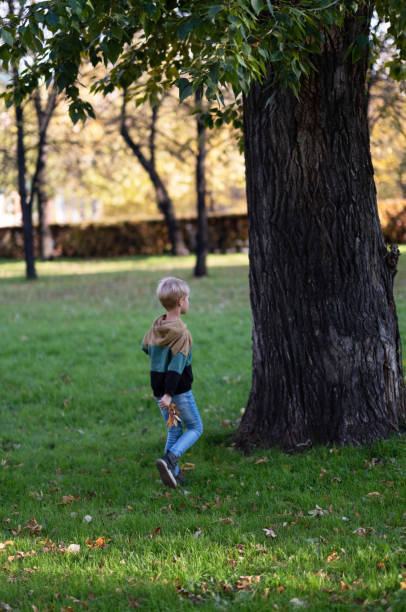 istock A boy with blond hair approaches a huge oak tree 1204539780