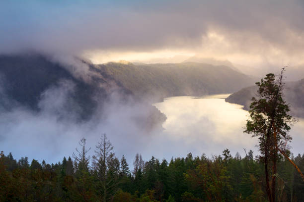 Saanich Inlet located on southern Vancouver Island.