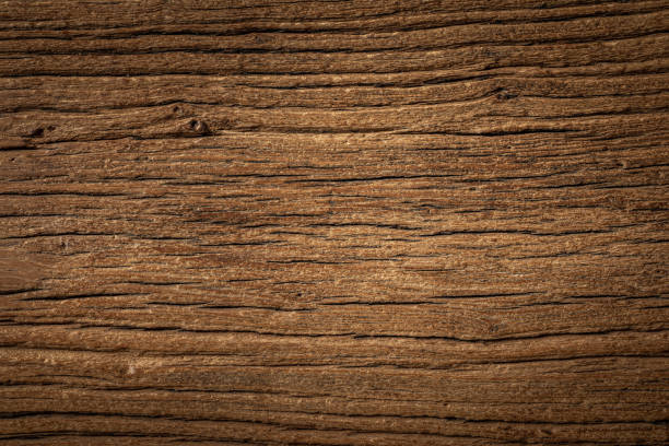 istock Natural weathered old elm texture background. Wooden board texture background. 1204545542