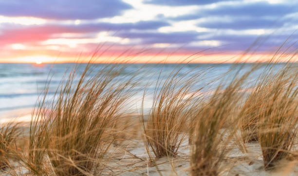 Sunrise on the sand beach on Rungen near Lobbe Sunrise on the sand beach on Rügen near Lobbe marram grass stock pictures, royalty-free photos & images