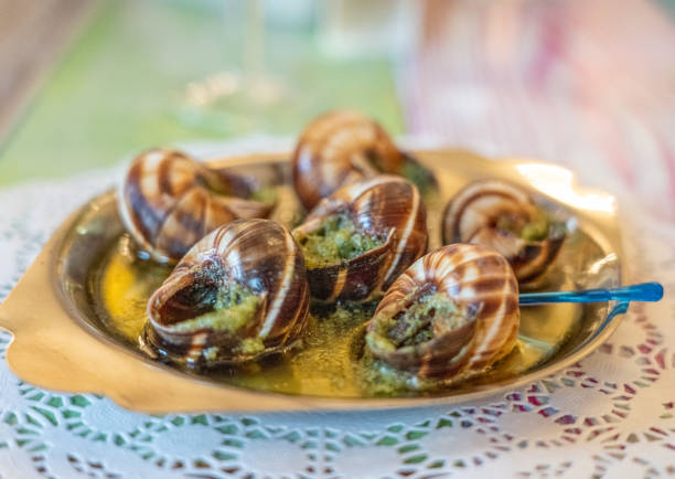 istock Snails with herb butter as a delicacy 1204546746