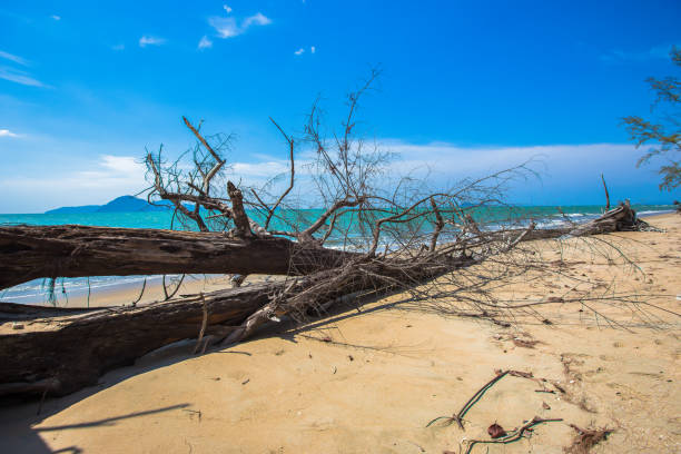 istock USA, Atmospheric Mood, Awe, Backgrounds, Beach 1204546998