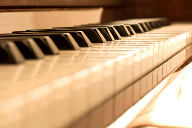 istock Piano keys. Piano keys background. Selective focus. 1204547960