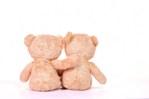 istock Two teddy bears sitting on white background. Love and relationship concept. 1204548846