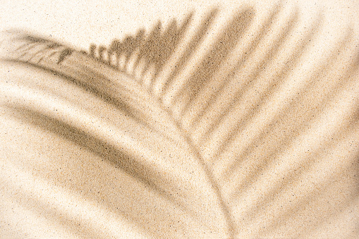 Top view of palm tree branch shadow on sandy background. Flat lay. Summer concept with copy space