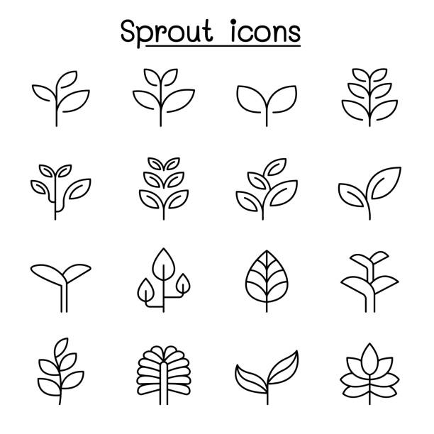 ilustrações de stock, clip art, desenhos animados e ícones de sprout icon set in thin line style - planta nova ilustrações