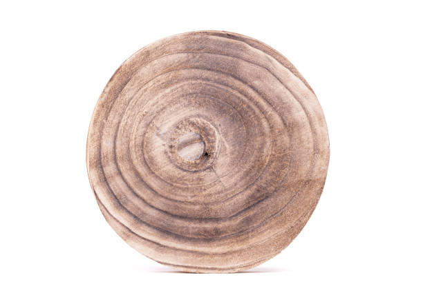 istock Slice of wood isolated over white background 1204554928