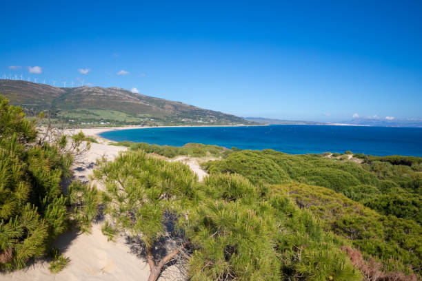 istock landscape of Valdevaqueros Beach and Tarifa from the forest 1204557518