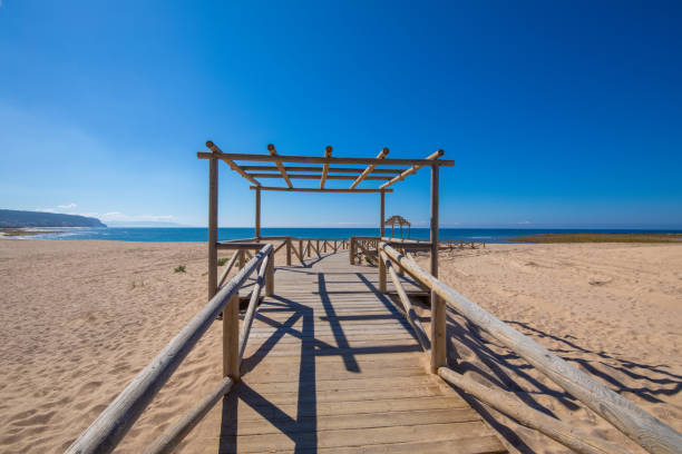 istock wooden footpath structure of Varadero Beach in Canos Meca 1204557629