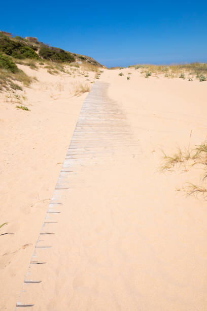istock wooden pathway covered on sand beach in Trafalgar Cape 1204557636