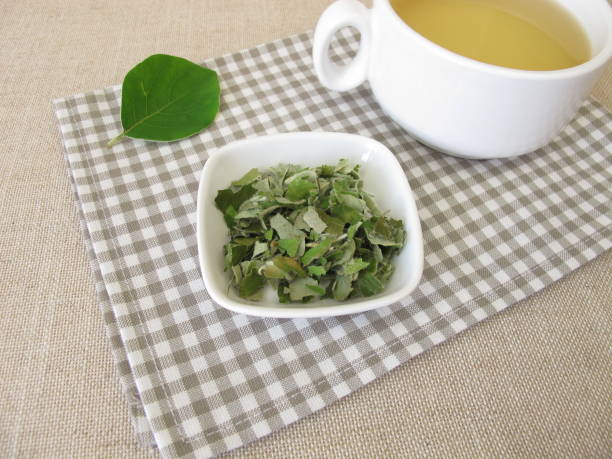 istock Quince leaf tea, tea with dried quince leaves 1204560525