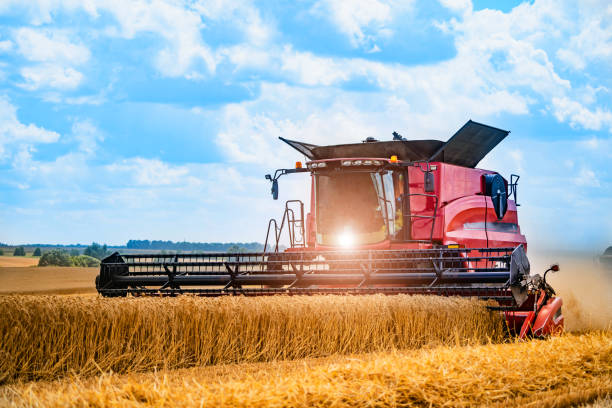 istock Grain harvesting combine in a sunny day 1204560745