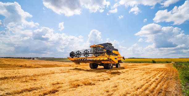 istock Agriculture machine harvesting crop in fields 1204560809