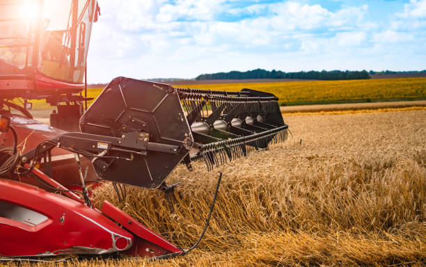 istock Combine harvester in action on wheat field. 1204560810