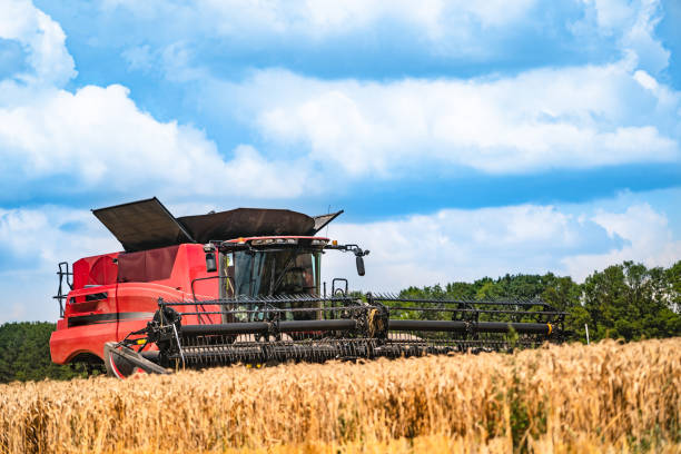 istock Grain harvesting combine in a sunny day. 1204561037