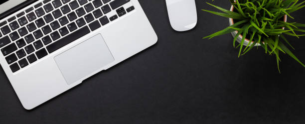 istock Office desk with laptop and plant 1204562285
