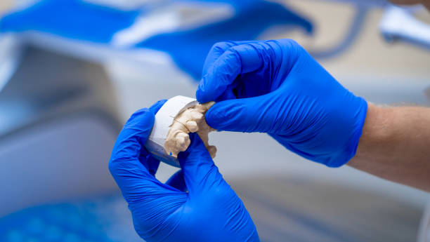 istock Close up Implant model tooth support fix bridge implant and crown. 1204562753