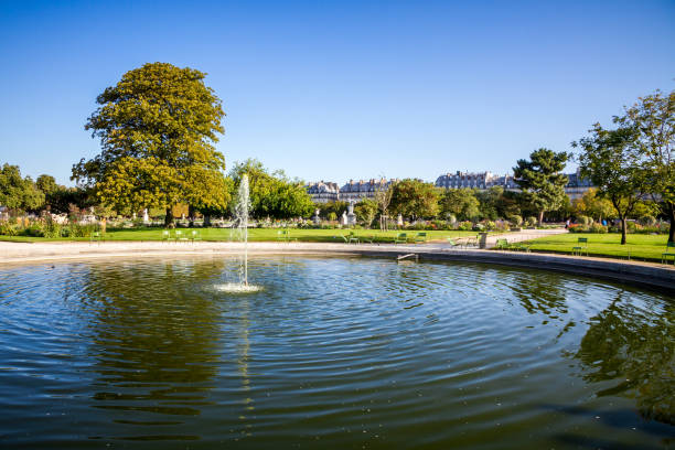 istock Tuileries Garden, Paris, France 1204567532