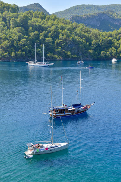 Daily Boat Trip.
