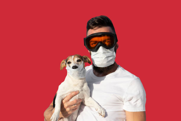 Man in protective mask and glasses holds cute jack russell dog in medical mask Man in protective mask and glasses holds cute jack russell dog in medical mask. Concept of pet allergy or prevention of viral diseases and coronavirus pandemic, looking at camera hairy insect stock pictures, royalty-free photos & images