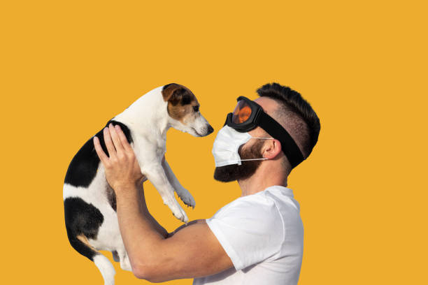 Man in face mask and protective glasses holding up cute near face Caucasian bearded man in face mask and protective glasses holding up cute dog jack russell near face. Concept of pet allergy or dog smell in house hairy insect stock pictures, royalty-free photos & images