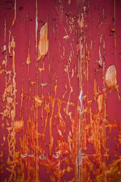 Grunge old red wood door textured background