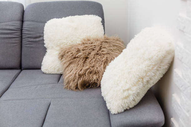 istock white decorative pillows on a casual sofa in the living room 1204583432